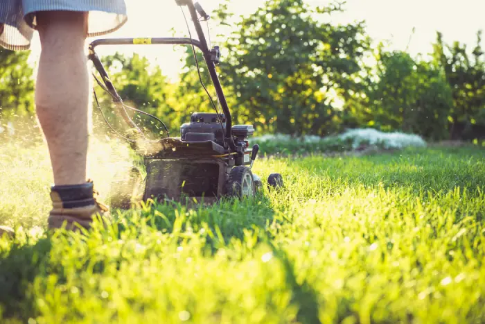 Attrezzi da giardinaggio per la manutenzione a Verona